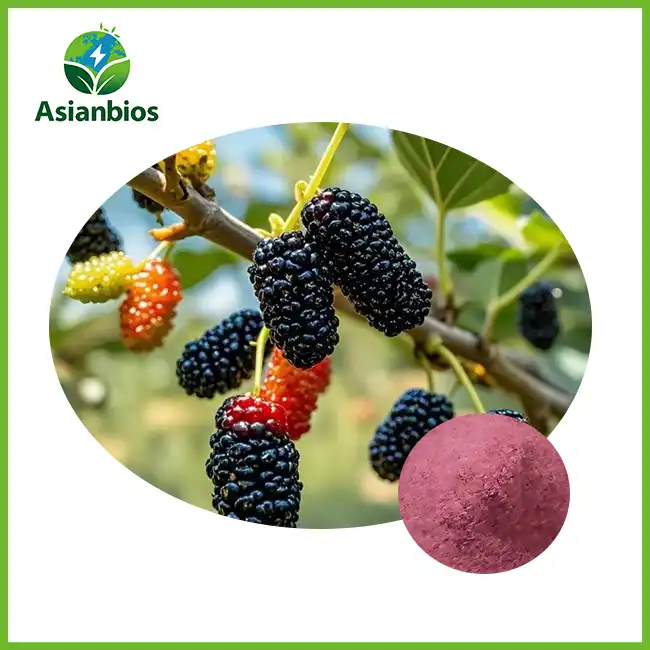 Mulberry Fruit Powder